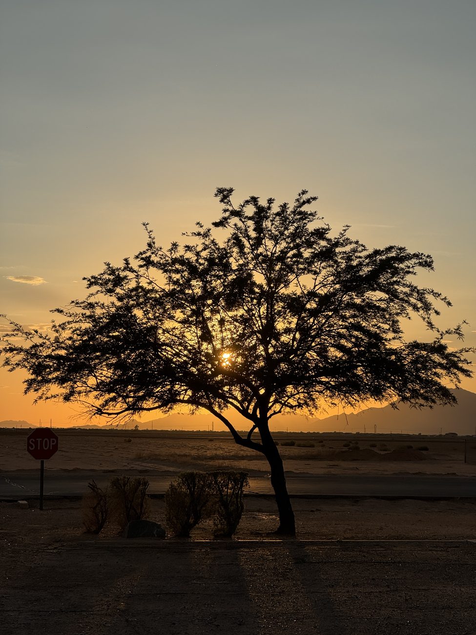 Golden hour